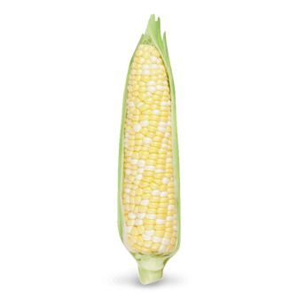 Кукурудза шт