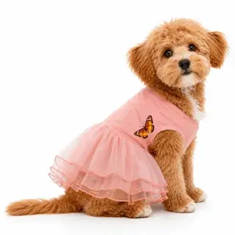 Сукня для собак Pet Fun Sally Peach XXS - персиковий