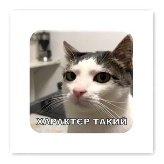 Стікер Tattooshka 3D Характєр такий