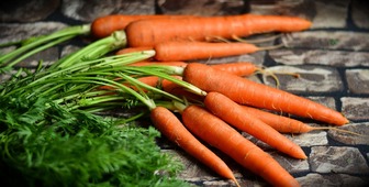 Секрет свіжої моркви: чому вона в’яне в холодильнику і як зберегти її хрусткою