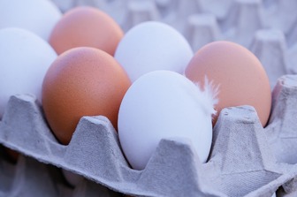 Скільки та як зберігати яйця: прості правила та лайфхаки