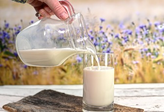 Вплив молока на організм: що буде, якщо пити його щодня