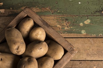 Секрети вдалого врожаю картоплі: коли садити у 2024 році й як доглядати