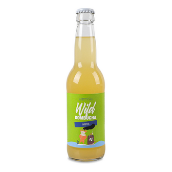 Напій Wild Kombucha Імбир, скло, 0.33л