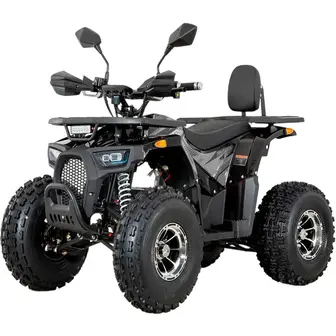 Квадроцикл FORTE FFD1500 Black (145434)
