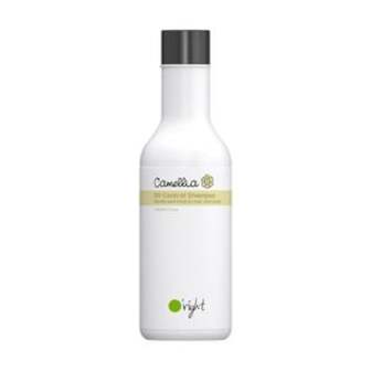 Органічний шампунь O'right Camellia Oil-Control Shampoo Камелія для жирної шкіри голови, 100 мл